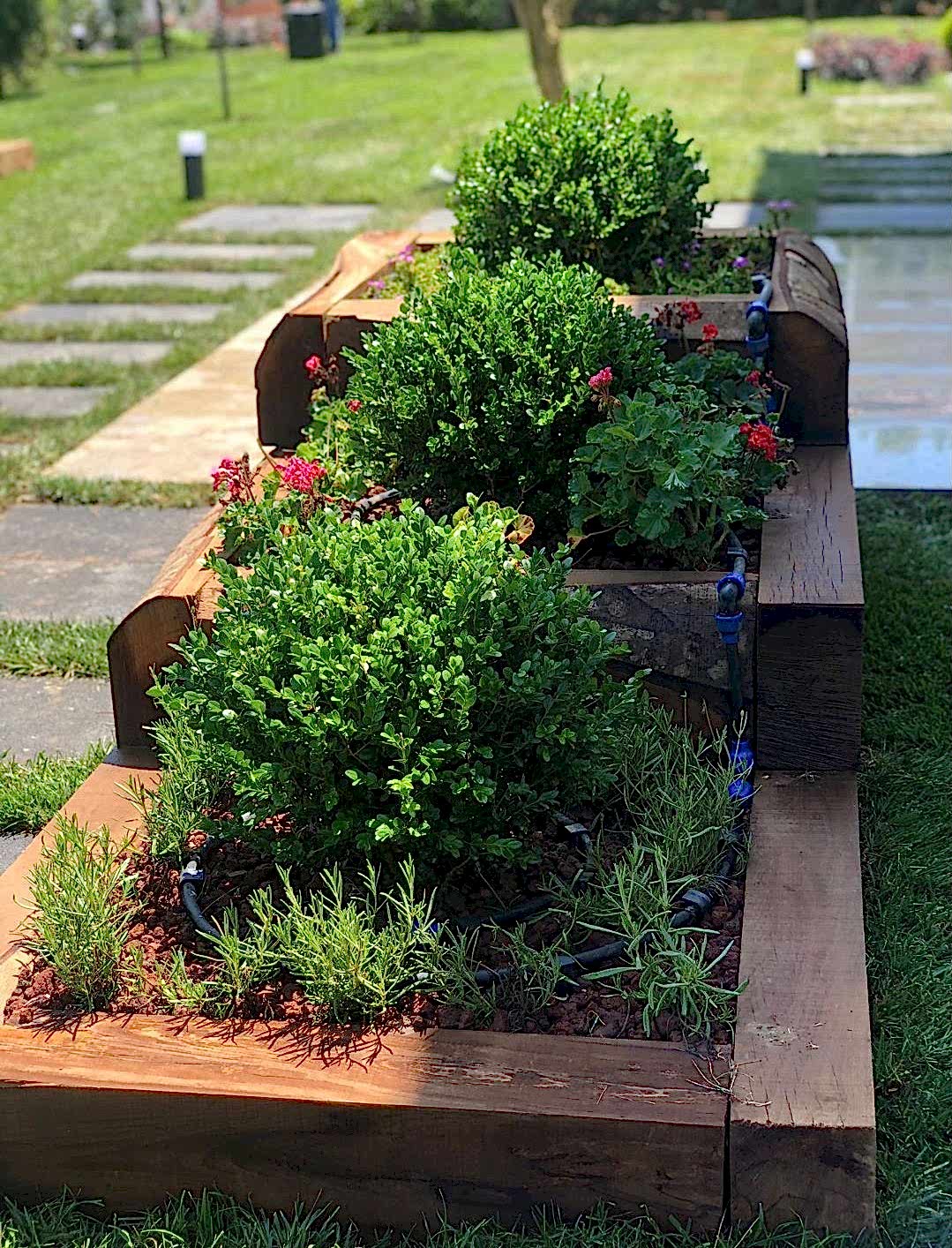 service single images