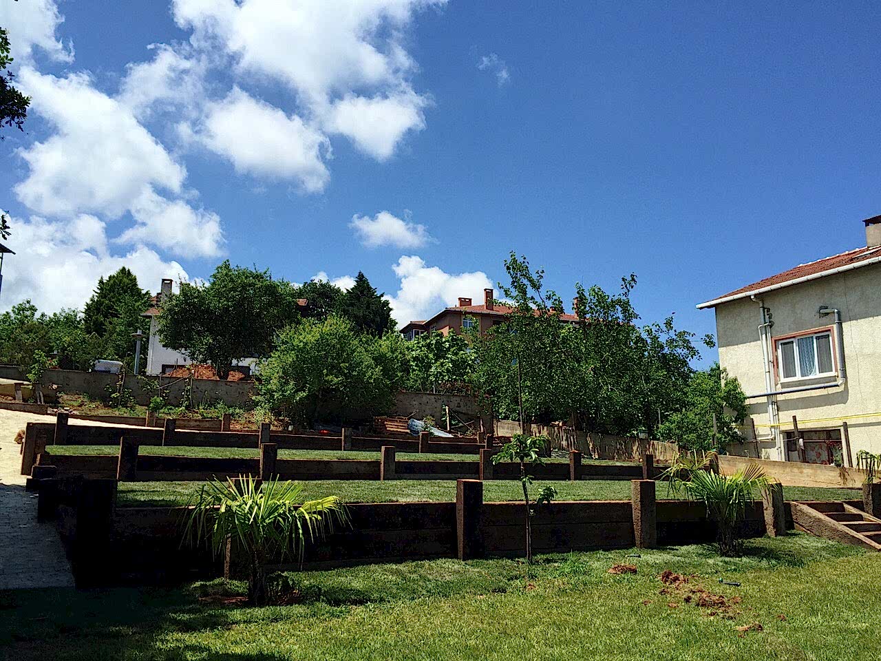 service single images