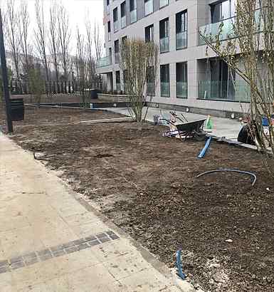 service single images