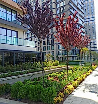 service single images