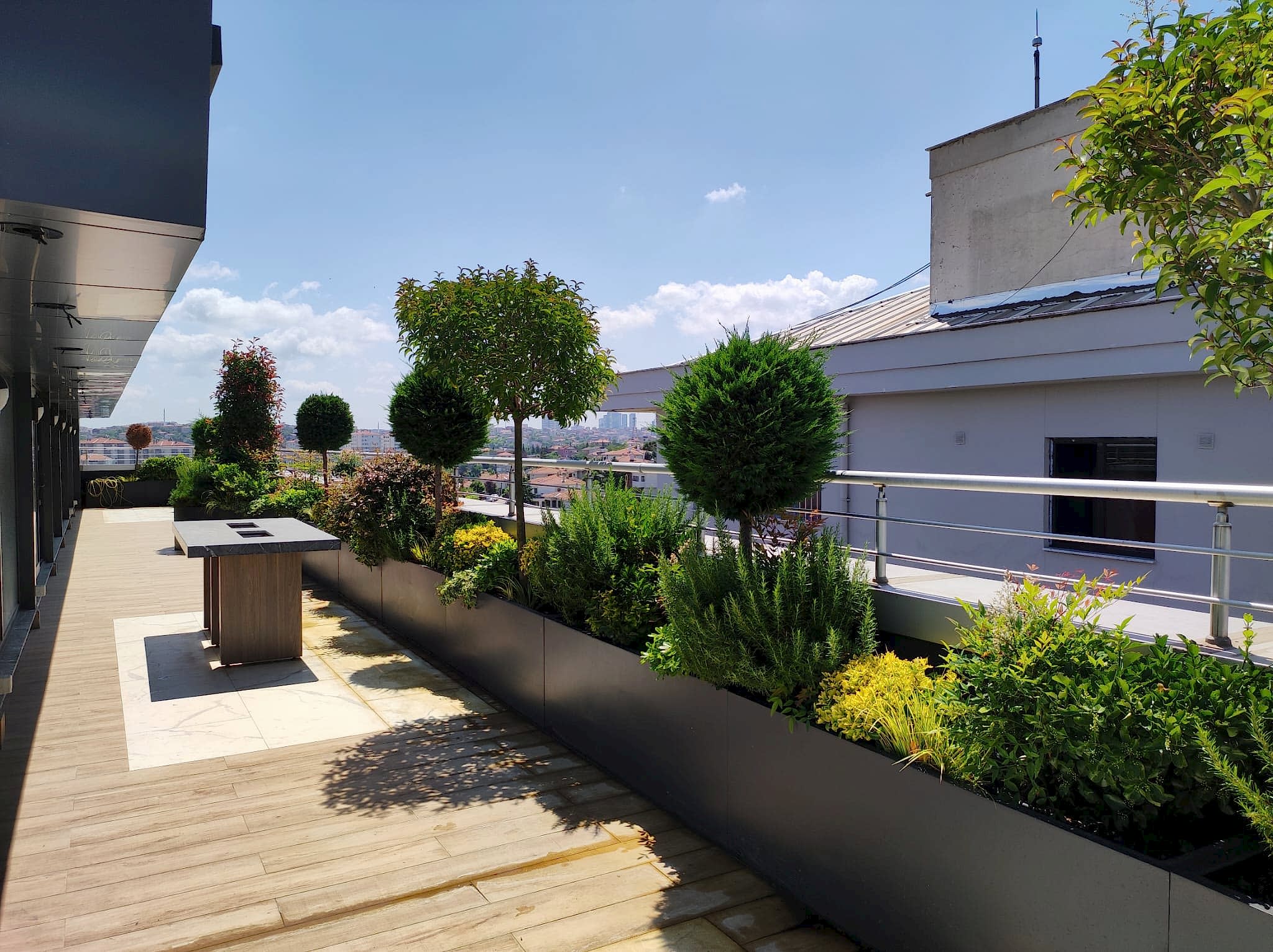 service single images