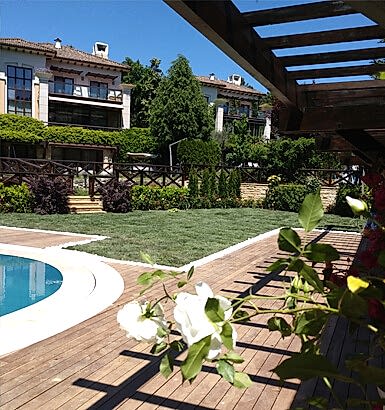 service single images