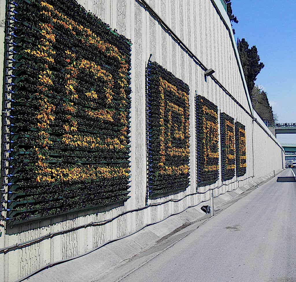 service single images