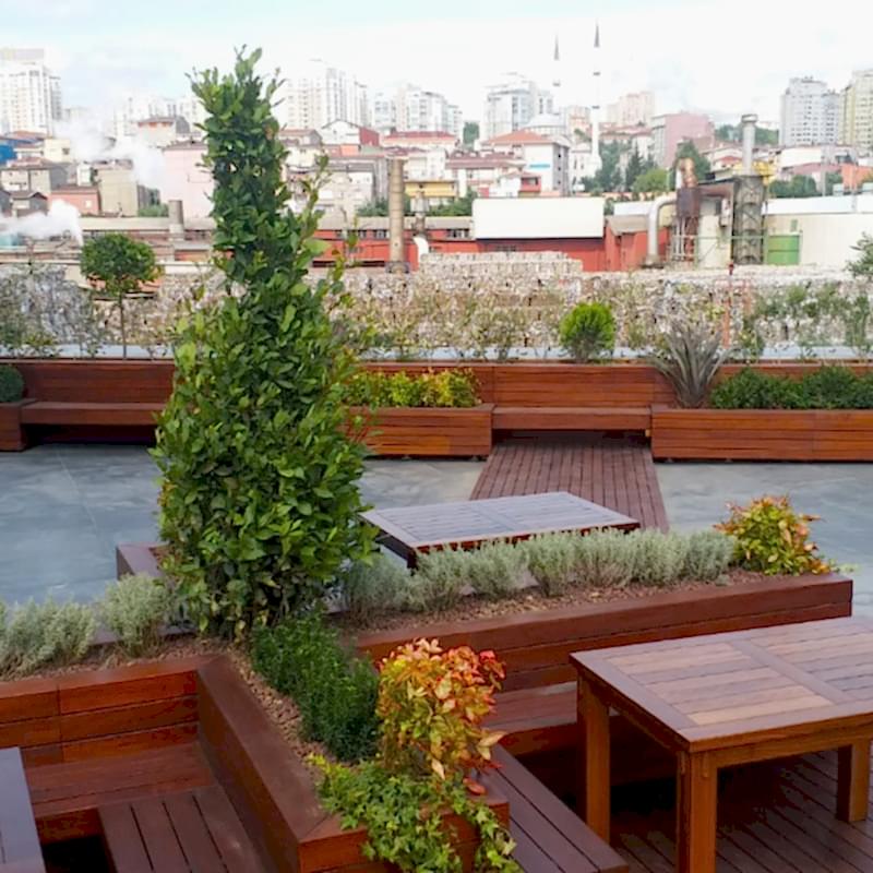 service single images