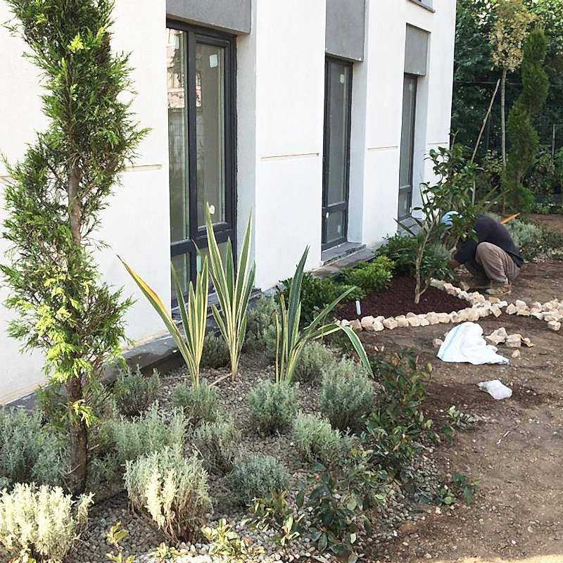 service single images