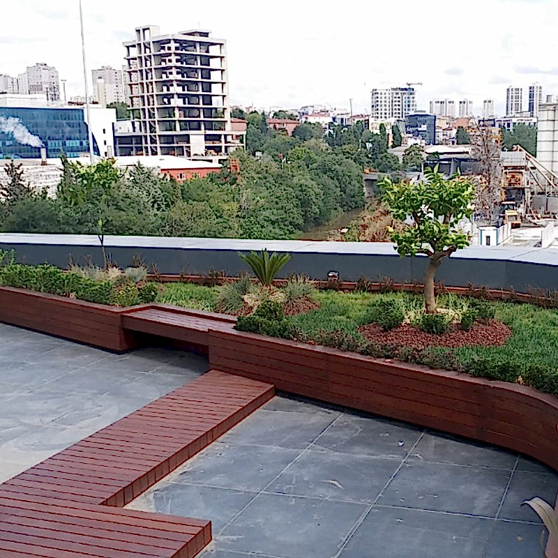 service single images