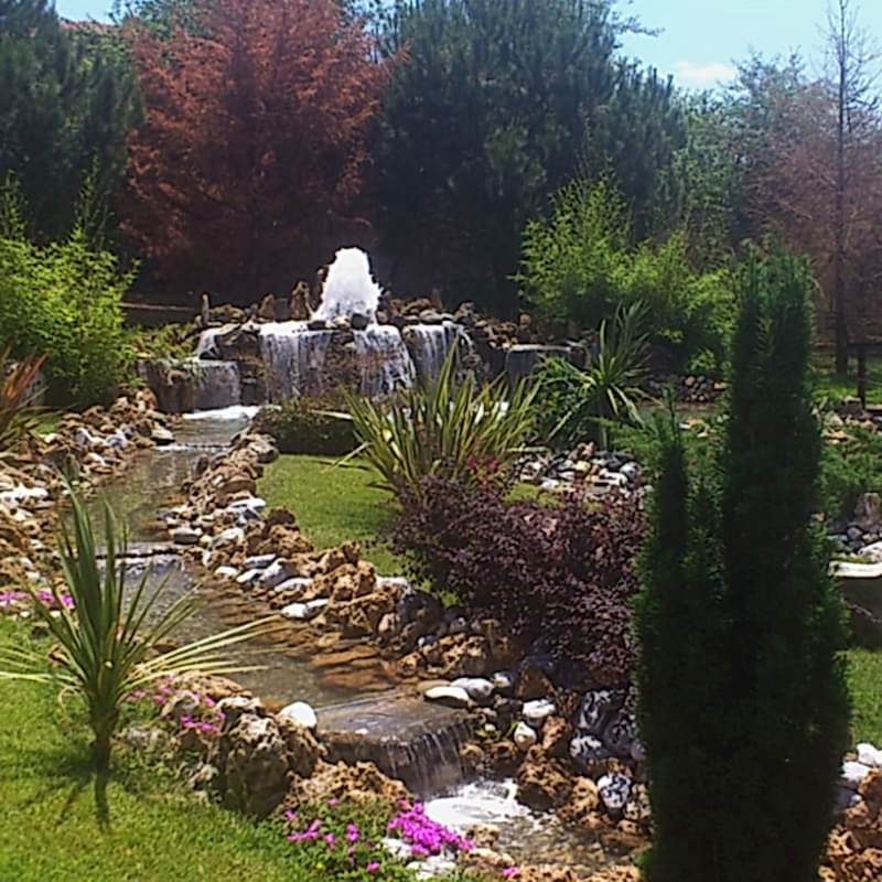 service single images