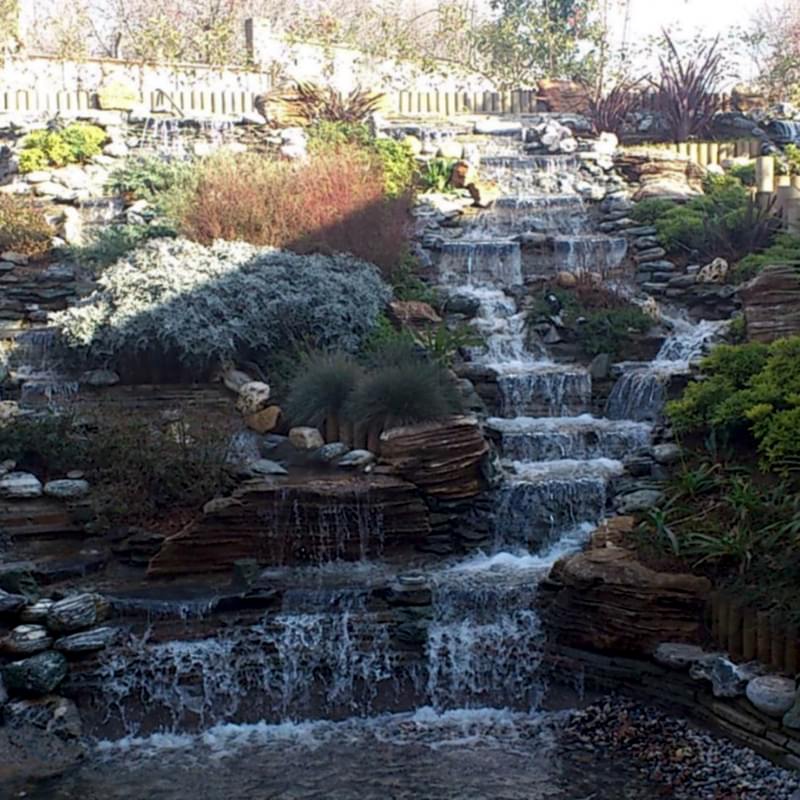 service single images