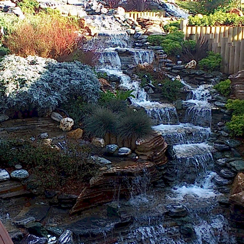 service single images