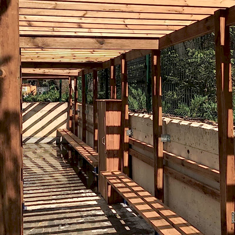 service single images