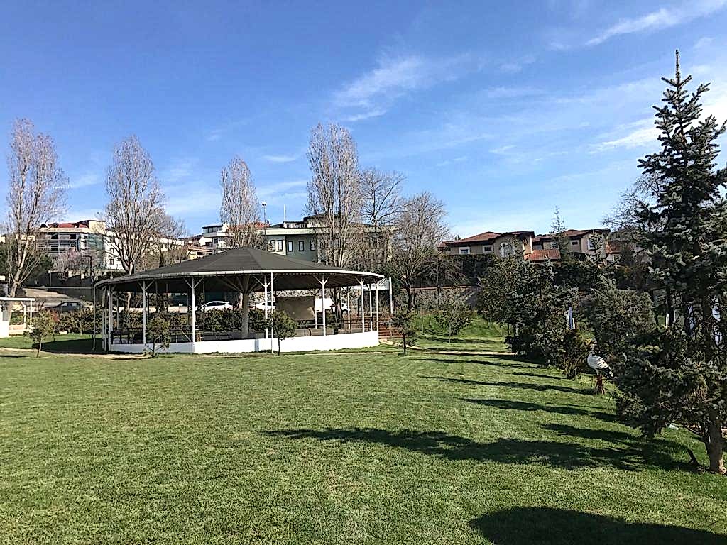 service single images