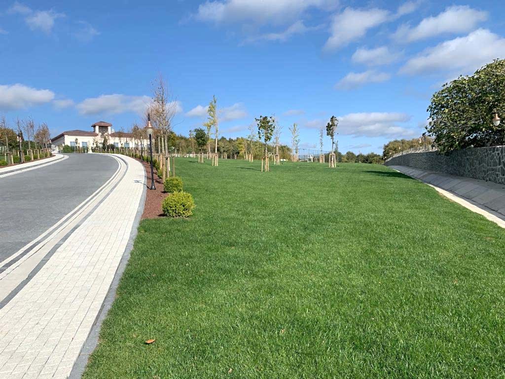 service single images