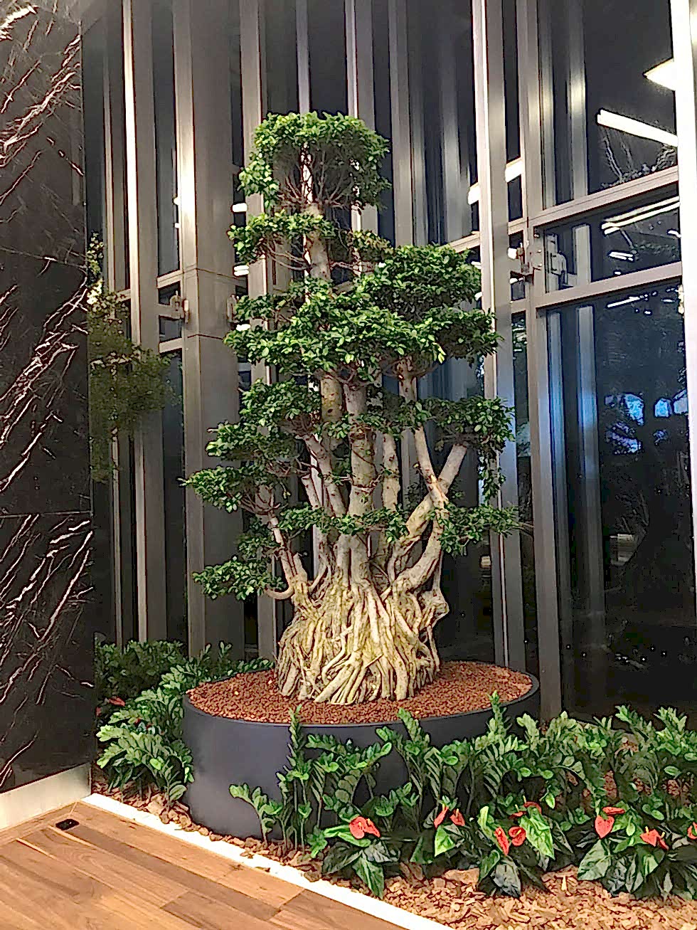 service single images