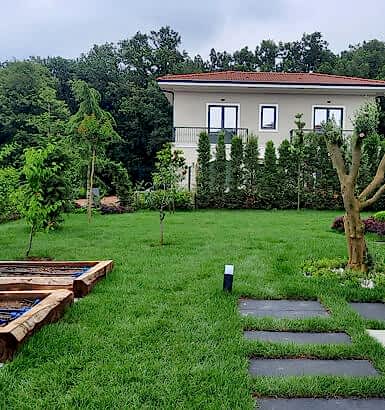 service single images