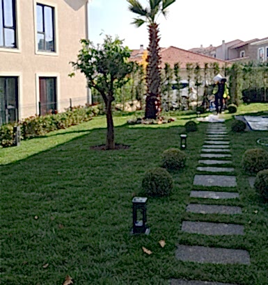 service single images