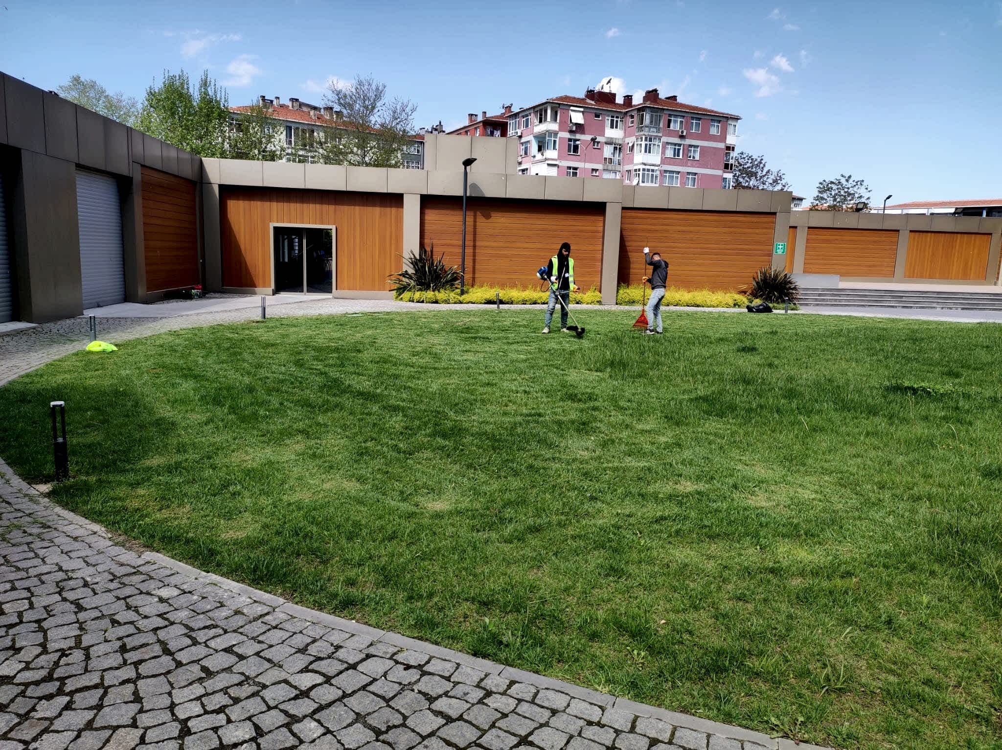 service single images