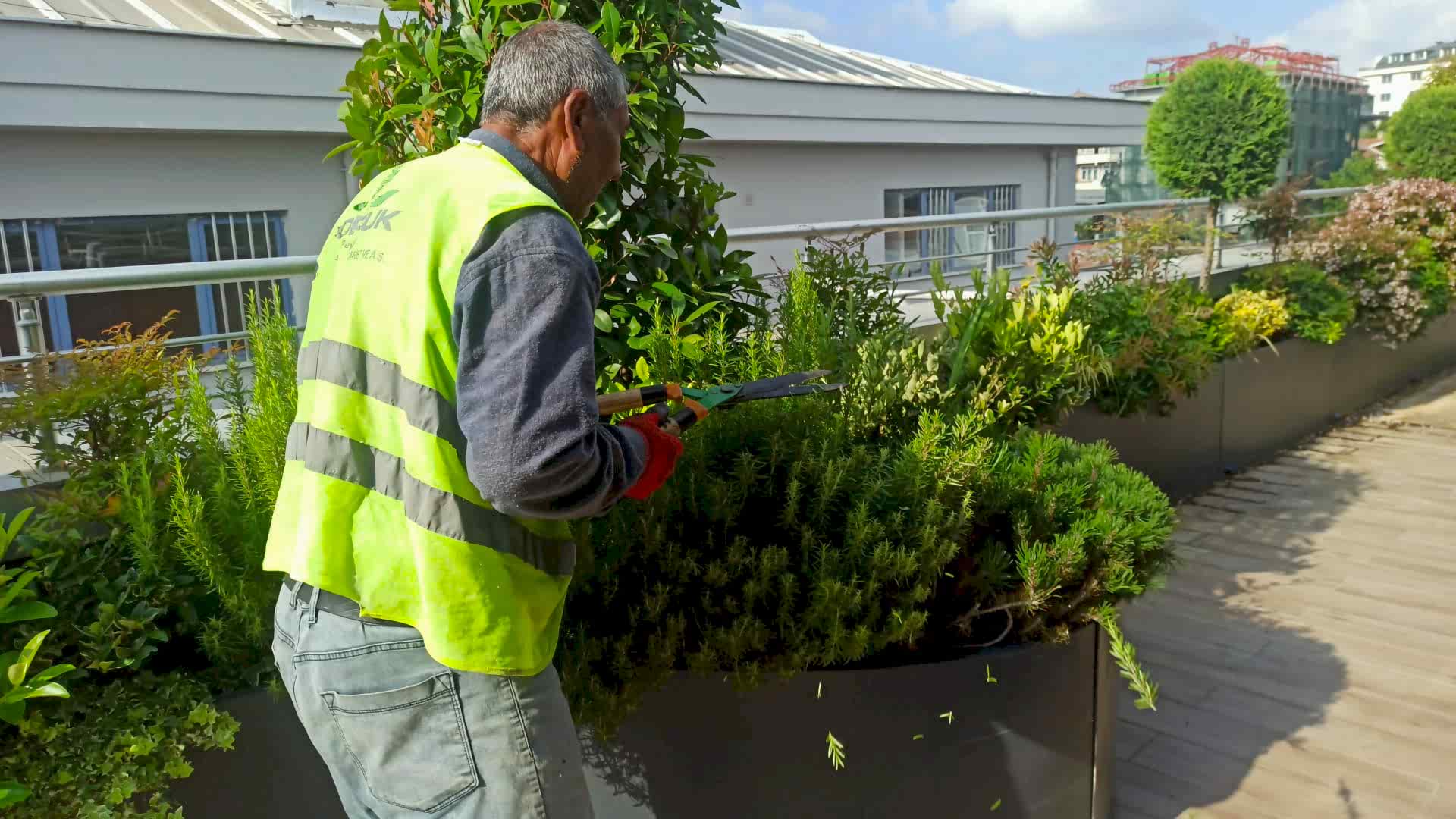 service single images