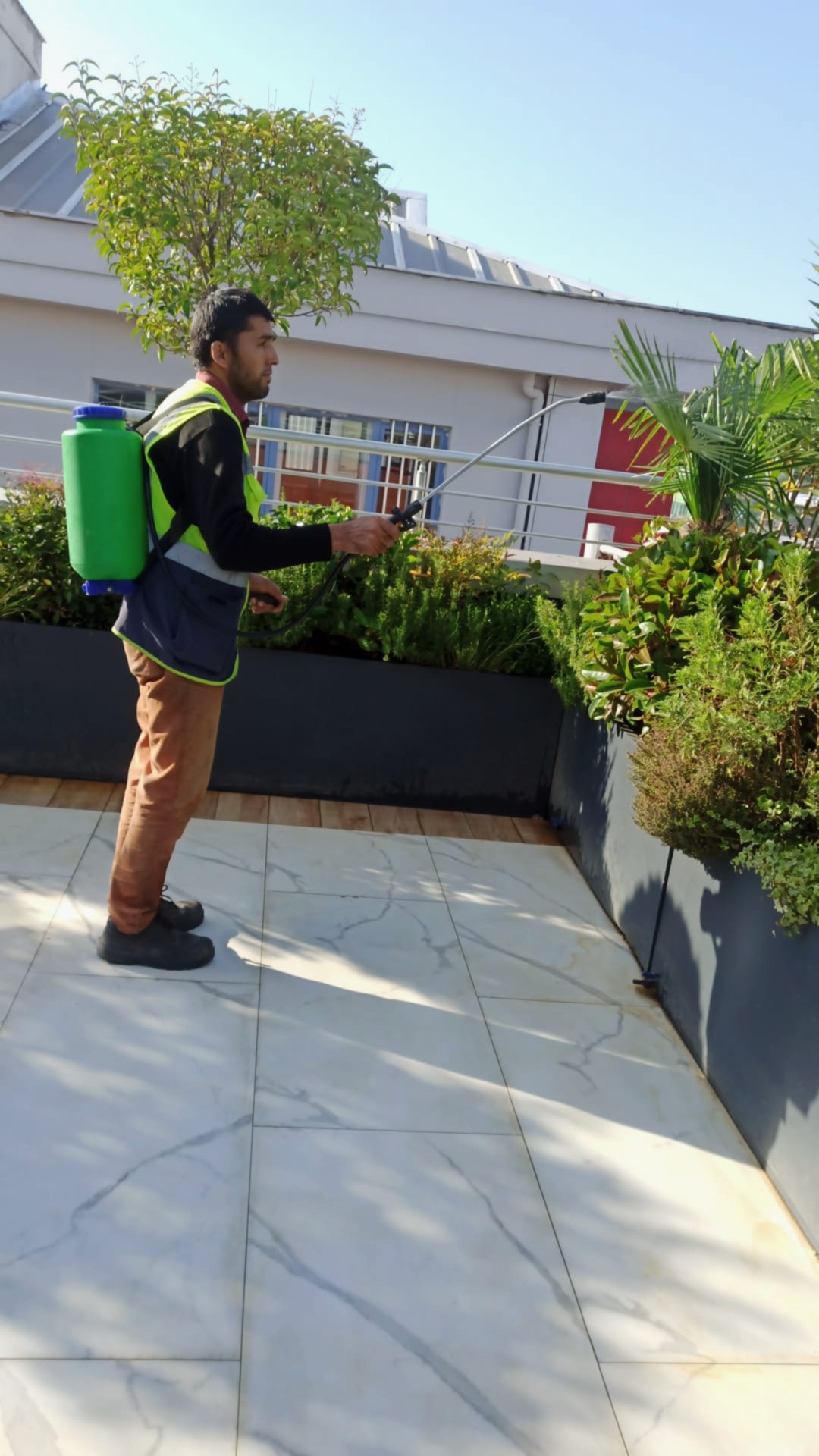 service single images