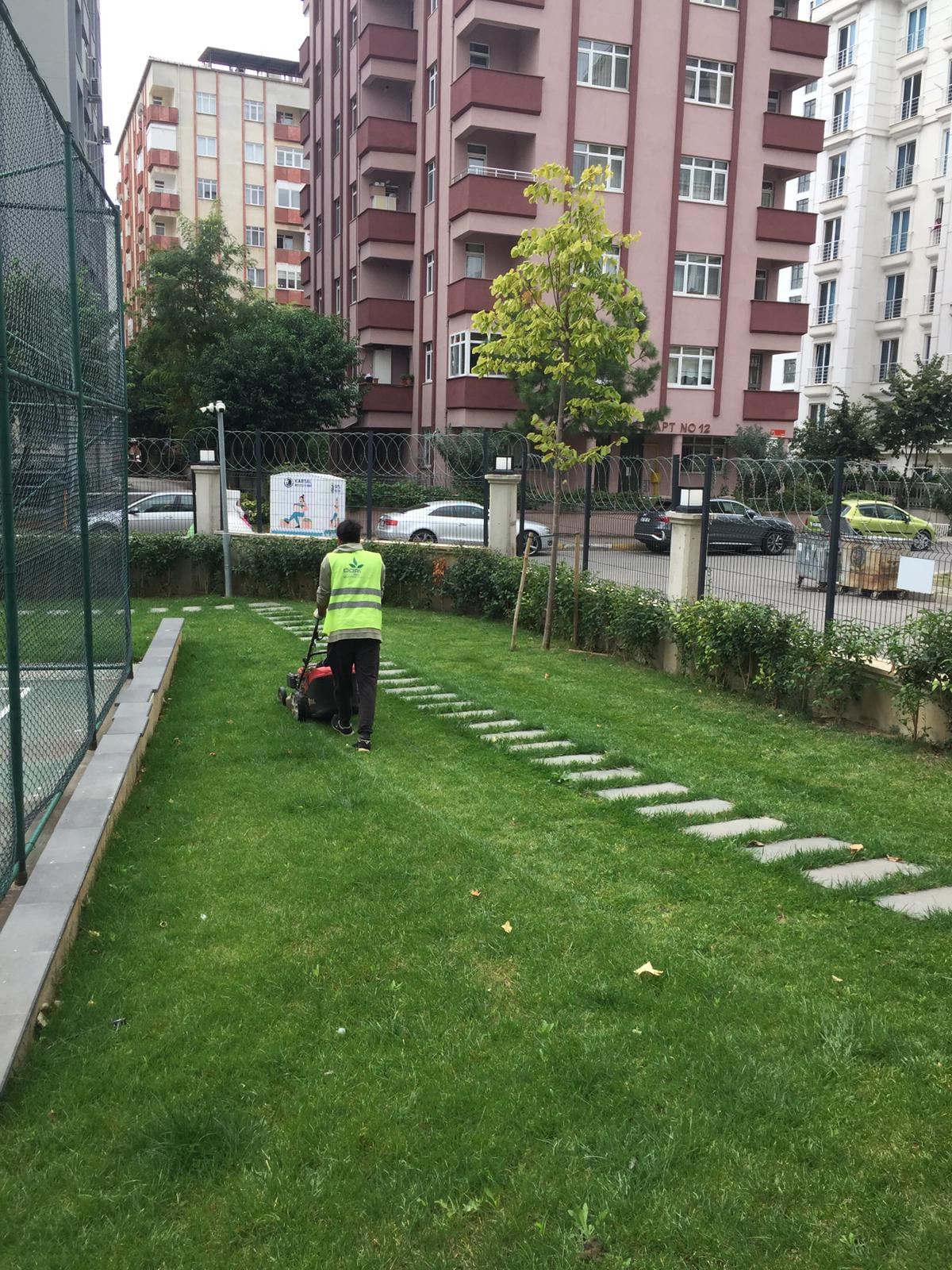 service single images