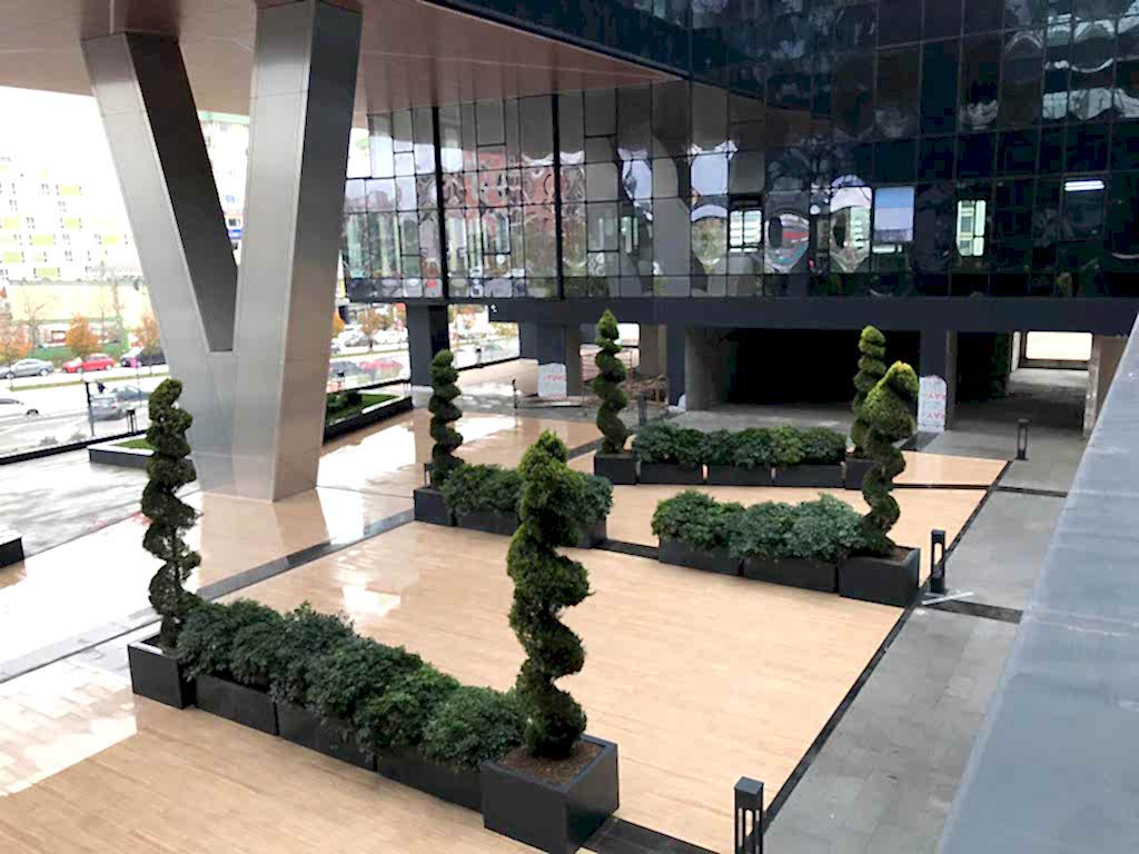 service single images