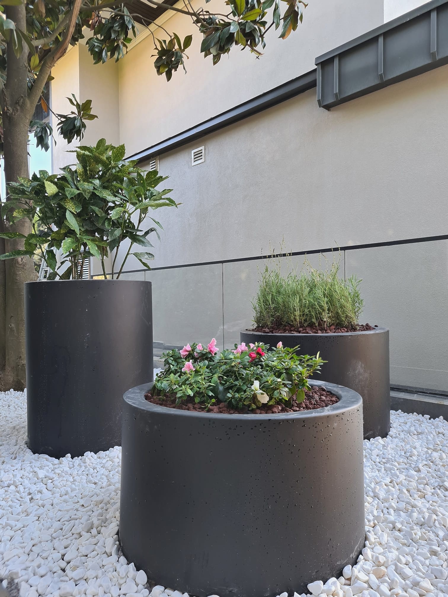 service single images