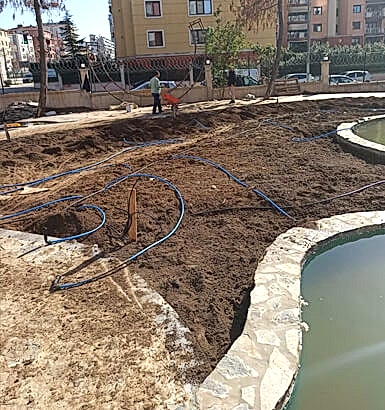 service single images