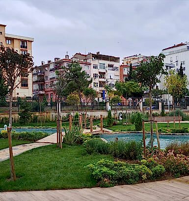 service single images