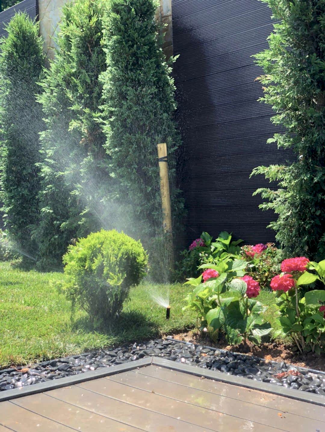 service single images