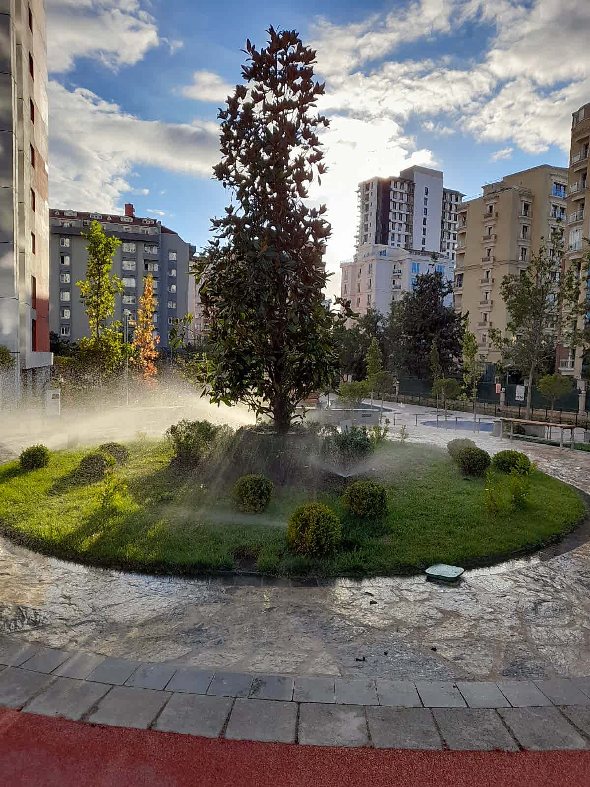 service single images