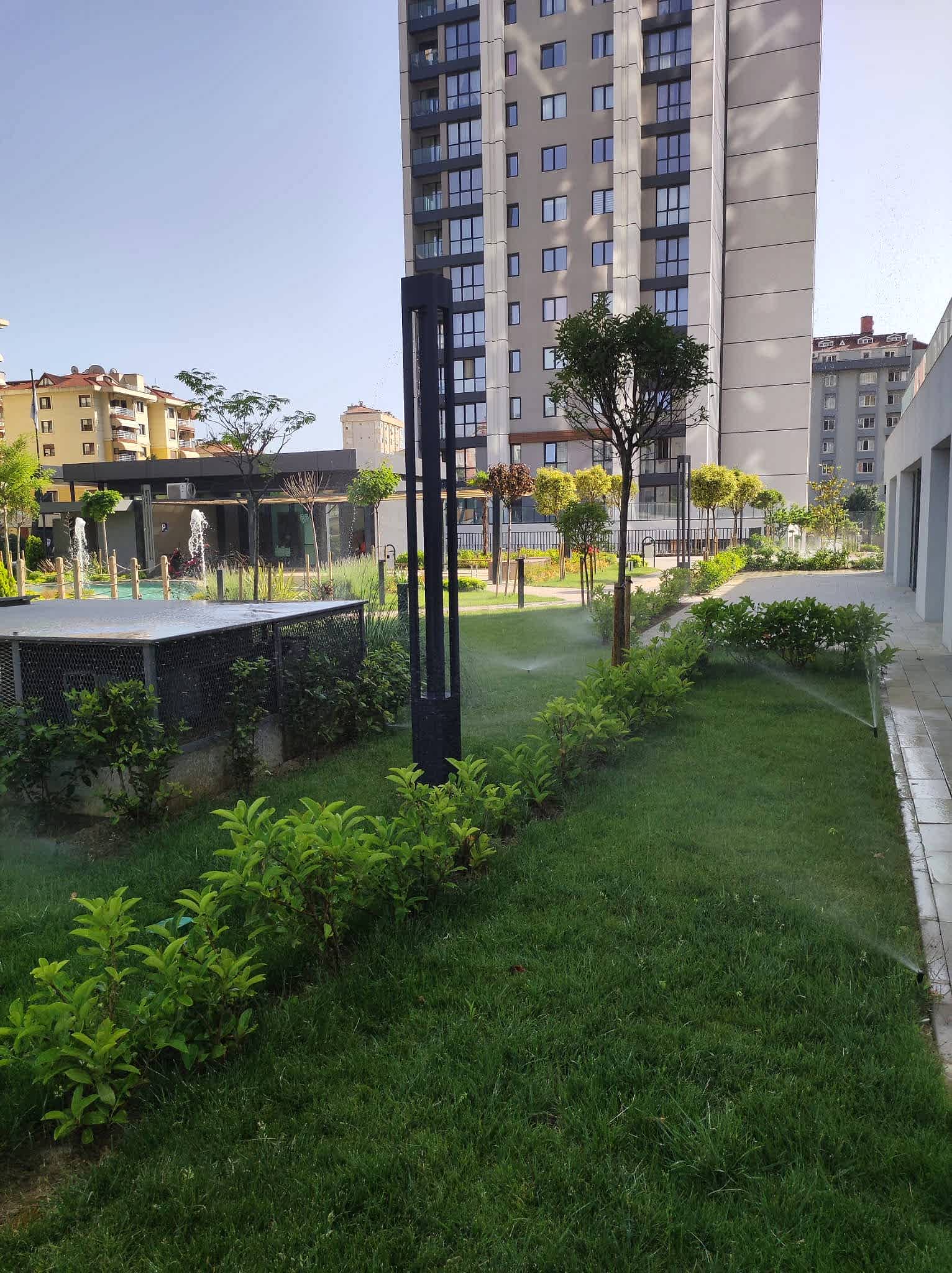 service single images